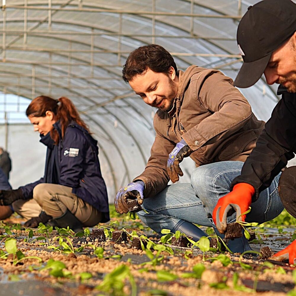 Camille Boué reconnecte les entreprises au sol