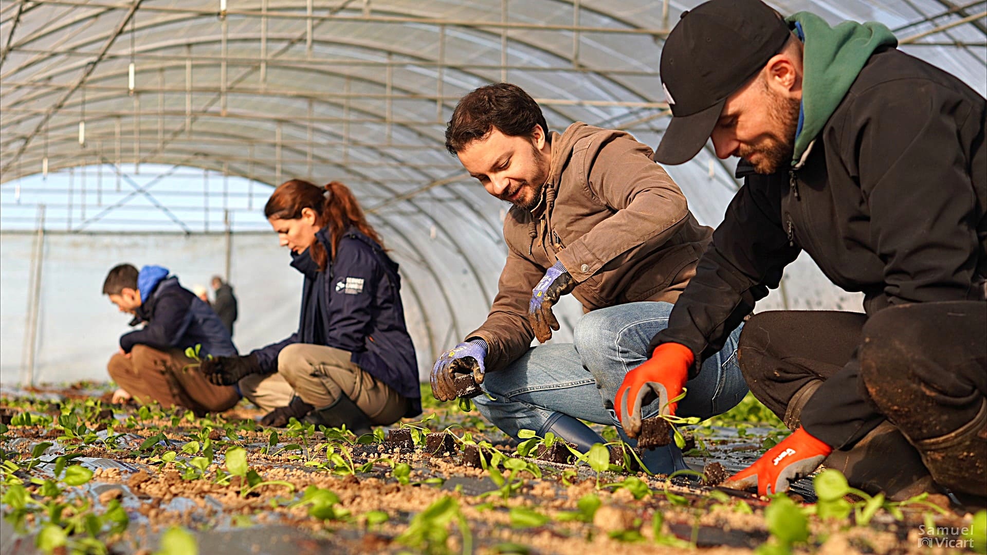 You are currently viewing Camille Boué reconnecte les entreprises au sol